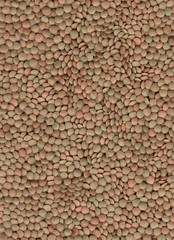 Lentils on a uniform layer
