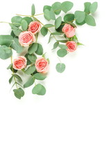 Flowers composition background. pink  roses and eucalyptus leaves branches on white background top view.  Floral card. Copy space