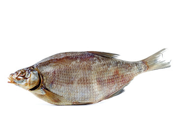 Cured bream fish isolated on a white background