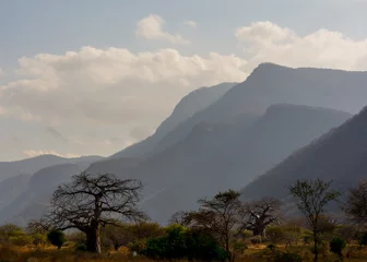 Foto op Canvas African Landscape with Baobab Trees and Mountains  © Chris