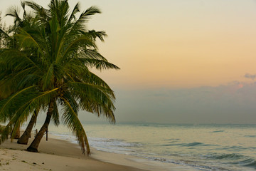 The Beautiful Beaches of Dar es Salaam 