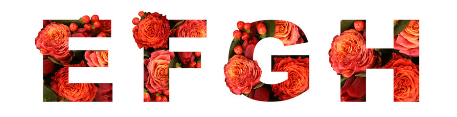 Floral font letter EFGH from a real red-orange roses for bright design. Stylish font of flowers for conceptual ideas.