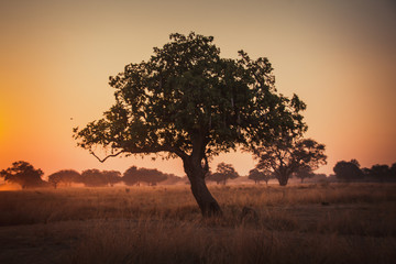 African Sunset Against the Landscape