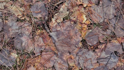 Backgrounds for presentations, home, office.