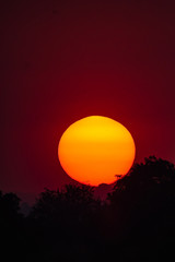 African Sunset Against the Landscape