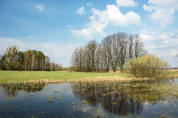 Fototapeta na wymiar Spring flooded green meadow, forest to the horizon, clouds and trees reflecting in the water