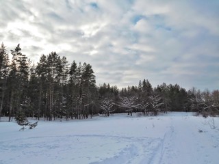 Winter landscapes zymes naparte