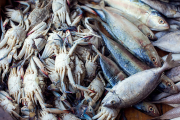 A lot of different kind of fish in market