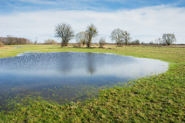 Landscape of idyllic spring meadow, water after rain, trees and sunny sky