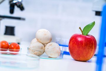 Chemical Laboratory of the Food supply . GMO Genetically modified food in lab