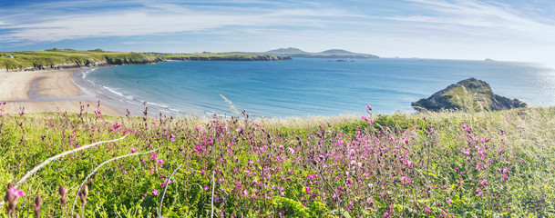 Wide Panoramic View of Pembrokeshire Coast at Bright Summer Day