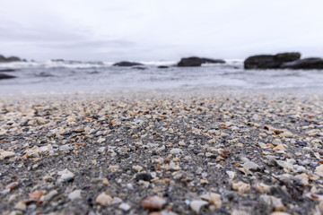 Landscape by the sea,