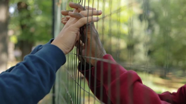 white woman hands holding black man's hands throughnet.Impossible,forbidden love