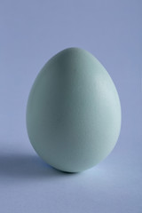 Egg perfect white macro close up large on blue background