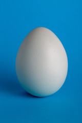 Egg plain white single minimal simple design on blue background