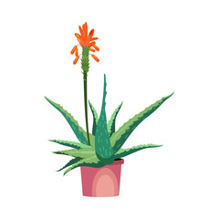 Aloe flower illustration. Plant, cactus, flora. Nature concept. Vector illustration can be used for topics like beauty, cosmetics, body care