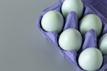 Eggs in paper carton six white on grey table