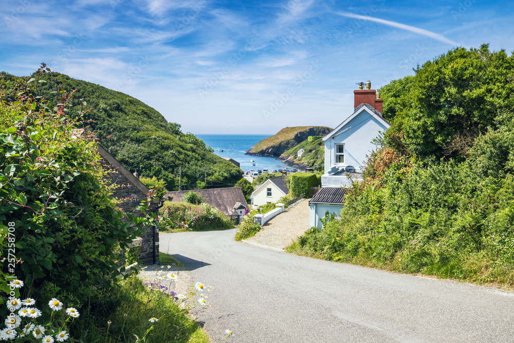 Poster welsh coastal village at bright sunny day