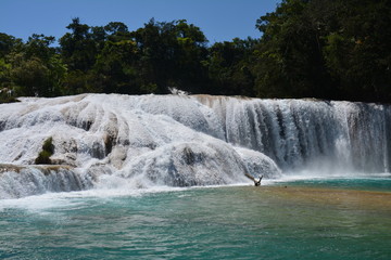 Cascade Agua Azul Chiapas Mexique - Agua Azul Waterfall Chiapas Mexico