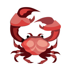 Red crab illustration. Mollusc, ocean, seafood. Nature concept. Vector illustration can be used for topics like sea animals, sea, restaurant, eating