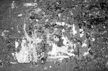 A fragment of the wall, covered with a layer of old cracked paint, with traces of pasted paper, in smooth daylight, toned.