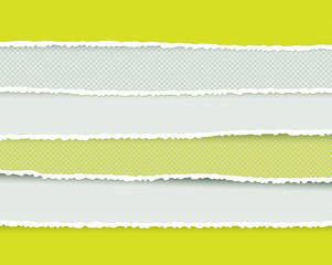 Set of Ripped and Torn Paper Stripes. Texture of Paper with Damaged Edge Isolated on Transparent background. Vector illustration.