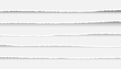 Set of Ripped and Torn Paper Stripes. Texture of Paper with Damaged Edge Isolated on Transparent background. Vector illustration.