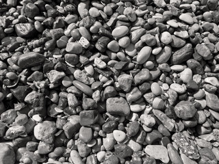 immagine monocromatica di sassi bagnati dal mare