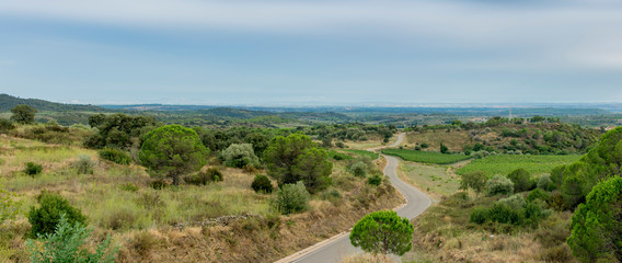 Fototapeta na wymiar Panorama of a curved road in a field