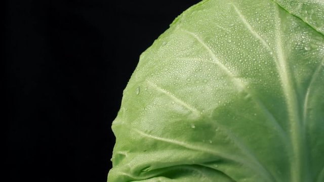 Fresh green cabbage rotating with water drops on surface. 4k footage.