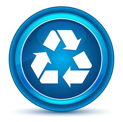 Recycle symbol icon eyeball blue round button