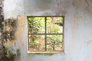 Window