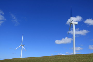 Fototapeta premium wind turbines in the field