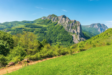 springtime in alba country, romania. wonderful sunny day in mountainous countryside. grassy hillside and gorge with cliffs in the distance under the clear blue sky