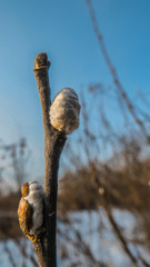 Autumn landscapes of nature
