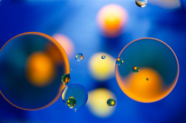 orange and yellow balls in blue water