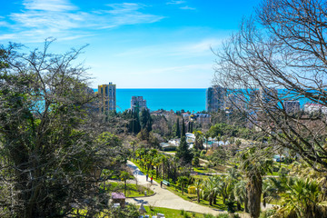 View of the city and the sea from the Arboretum in Sochi