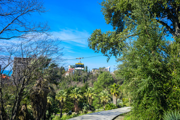 Obraz premium Cableway in the arboretum in Sochi
