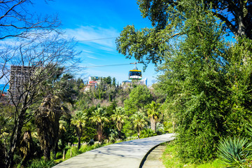 Cableway in the arboretum in Sochi