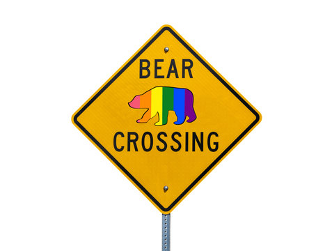 Rainbow pride flag bear crossing highway sign isolated on white.