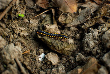 nature is so creative.