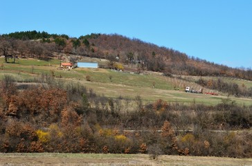 a spring landscape in the village