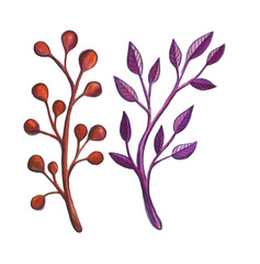 Hand drawn brunch flower summer spring illustration 