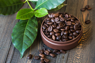 coffee beans and leafs