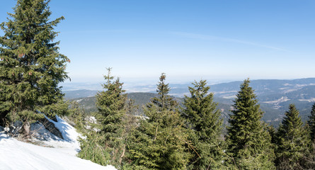 Bayerischer Wald - Panorama