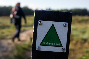 woman hiking on a nature trail