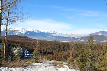 Fototapeta premium Path Out Of The Maligne Overlook, Jasper National Park, Alberta