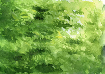 Fototapeta na wymiar Green leaves natural background, Watercolor hand drawn illustration