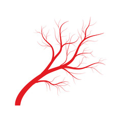 Human veins, red blood vessels design on white backgroun. Vector illustration