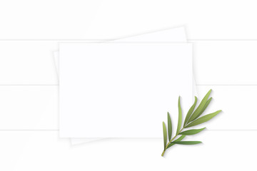Flat lay top view elegant white composition paper plant tarragon leaf on wooden background